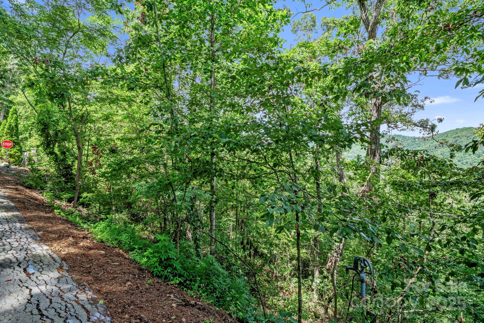 376 Vance Gap Road