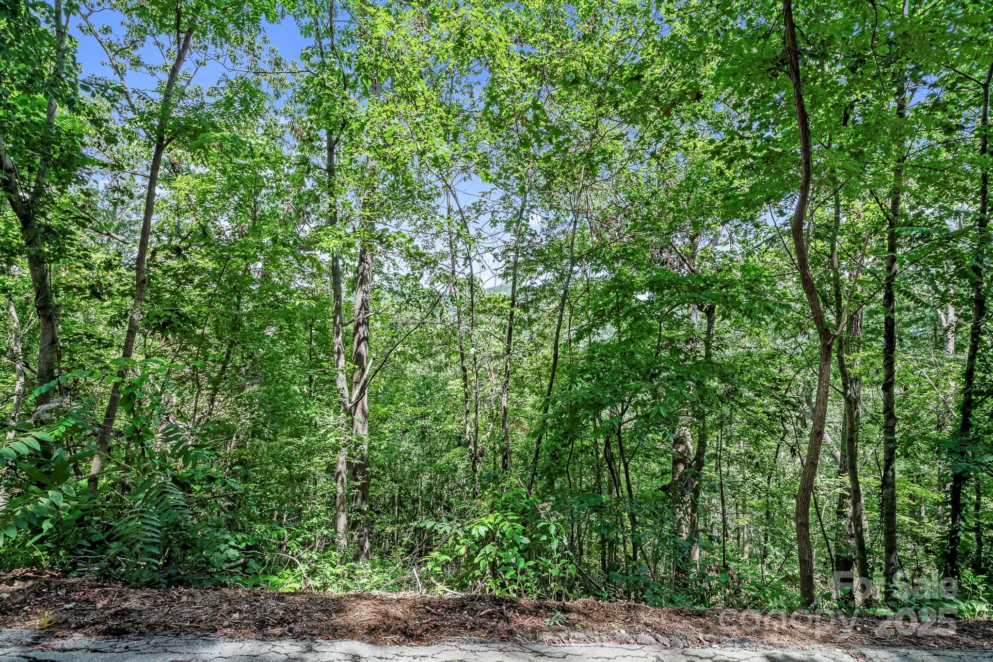 376 Vance Gap Road