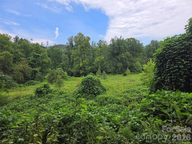 6059 Mount Zion Road, photo 3 of 37