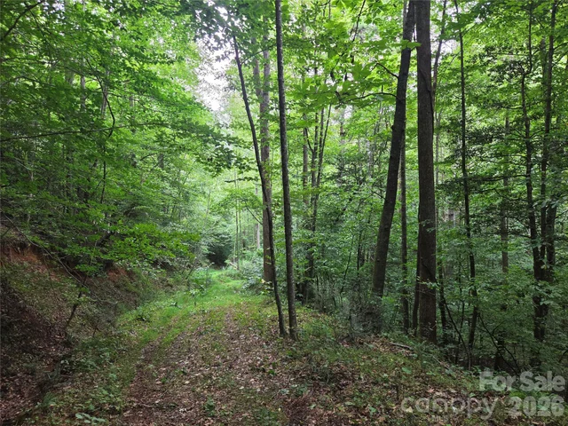 6059 Mount Zion Road, photo 5 of 37
