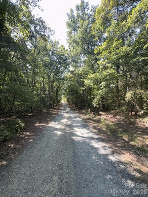 FLAT SWAMP RD, DENTON, NC 27239 - Image 5cd10fc9cf6fb4b4d917b17569dcaebd/410634396