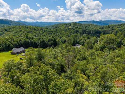 98 MIRACLE VALLEY RD, PISGAH FOREST, NC 28768 - Image 5cd8adfe0eb5e20a42a1e58fdfa853c2/3708650421