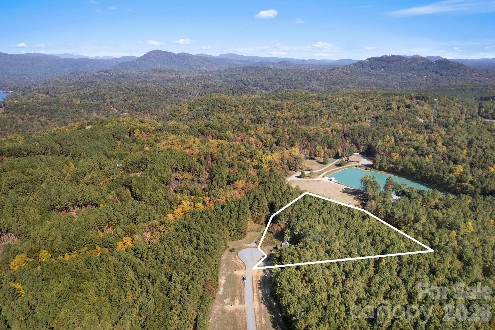 The Pinnacle at Ridgeview - Residential