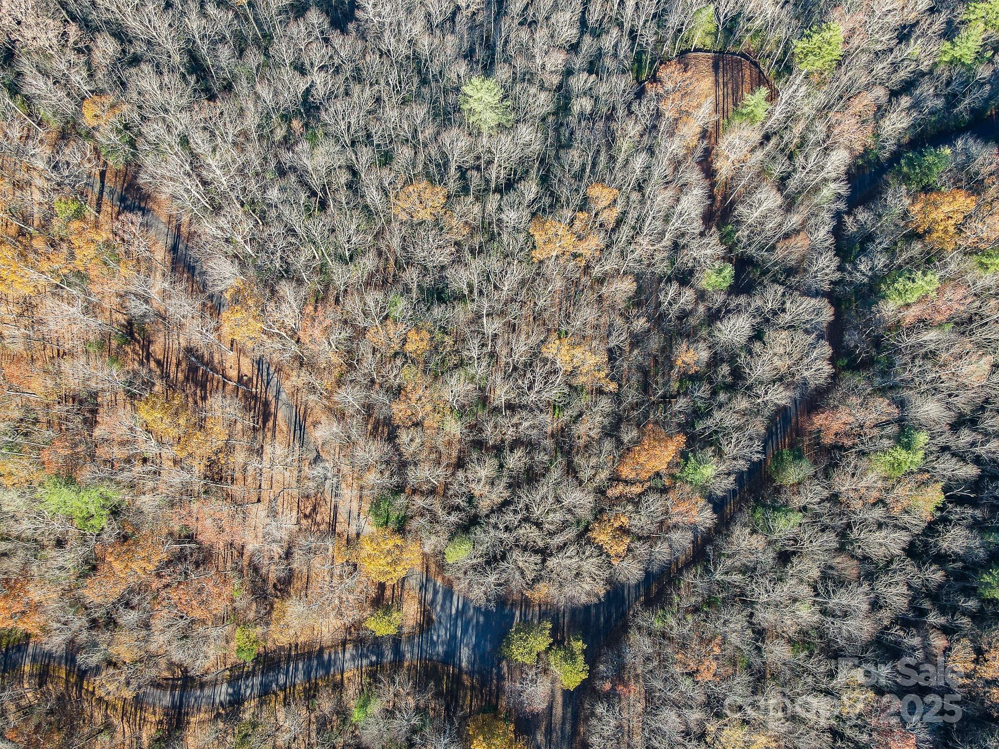 99999 Black Bear Ridge Trail