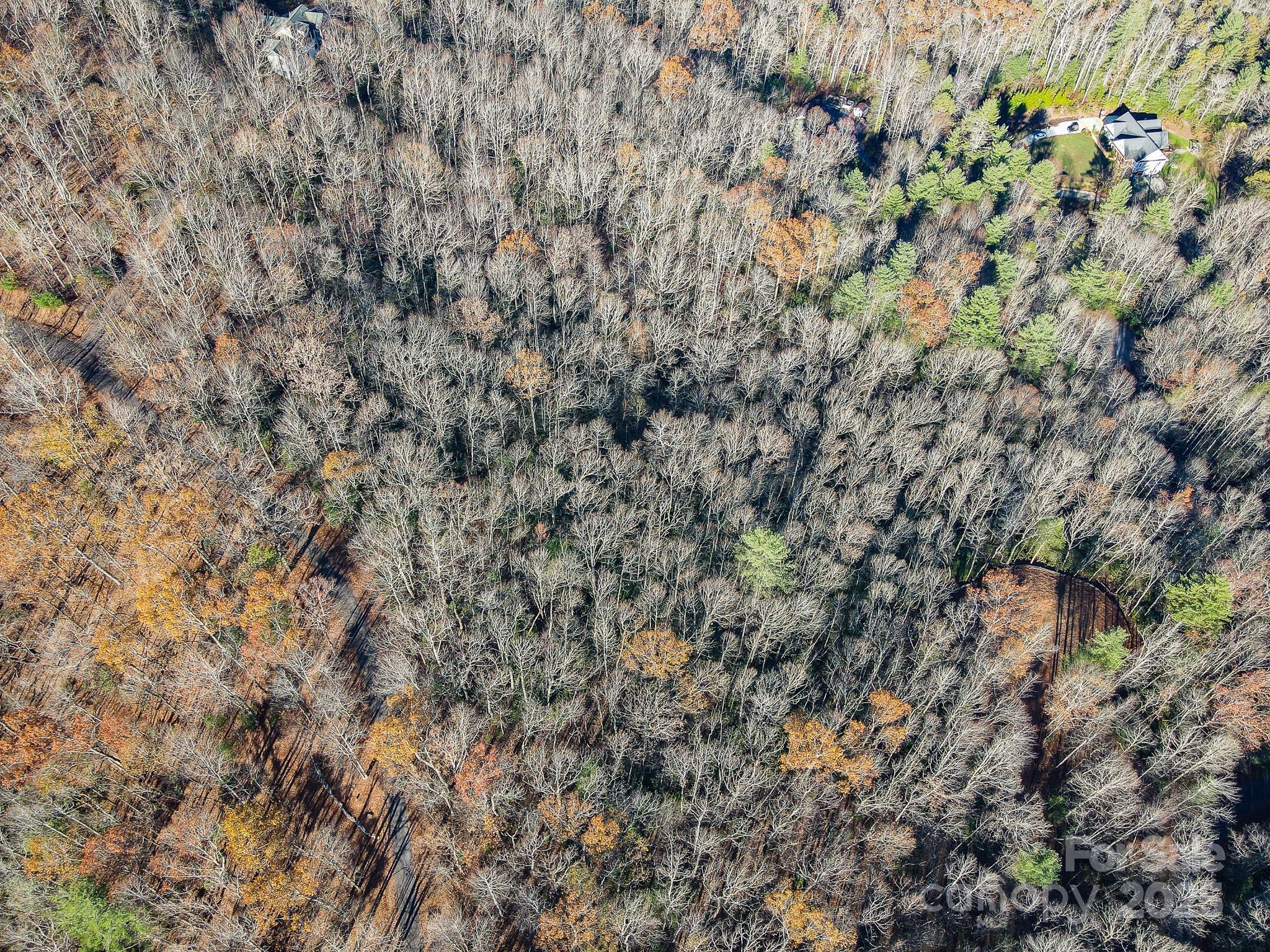 99999 Black Bear Ridge Trail