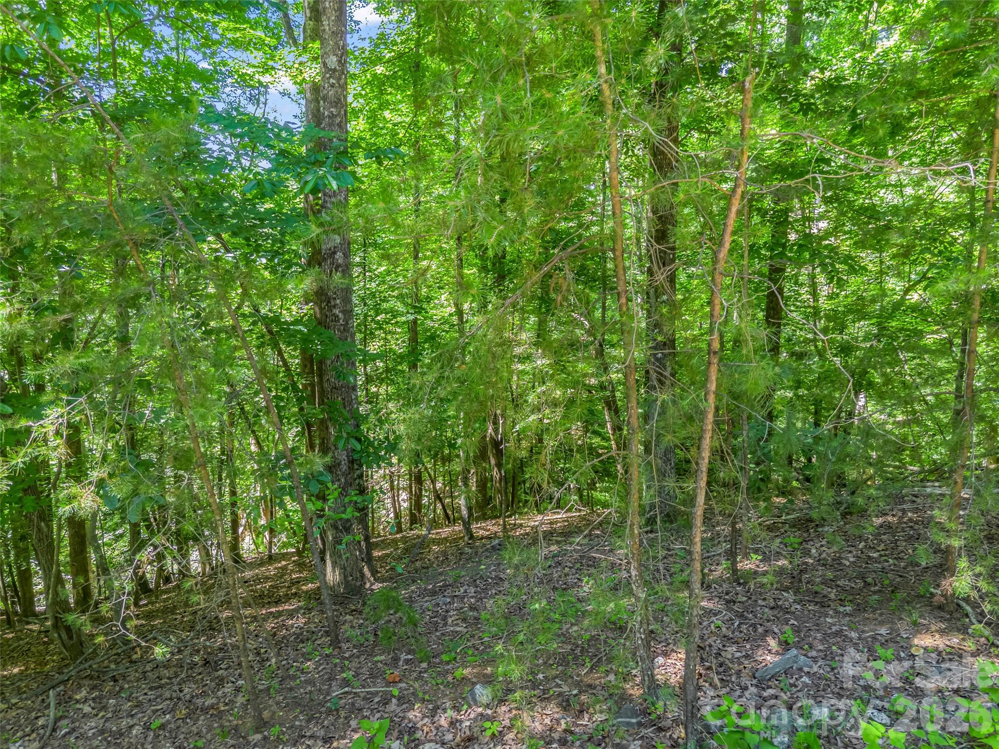 0 Hawks Nest Trail 31