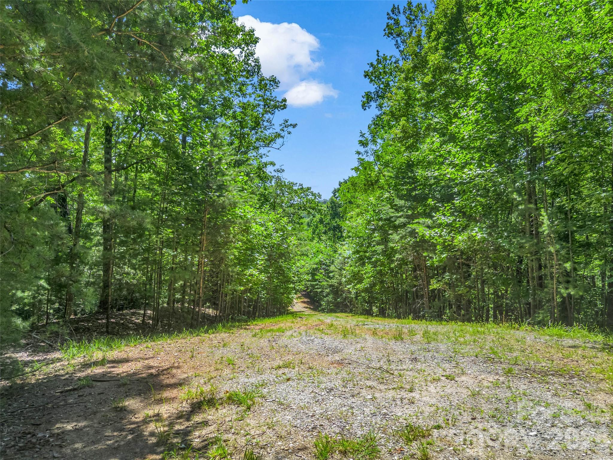 0 Hawks Nest Trail 31