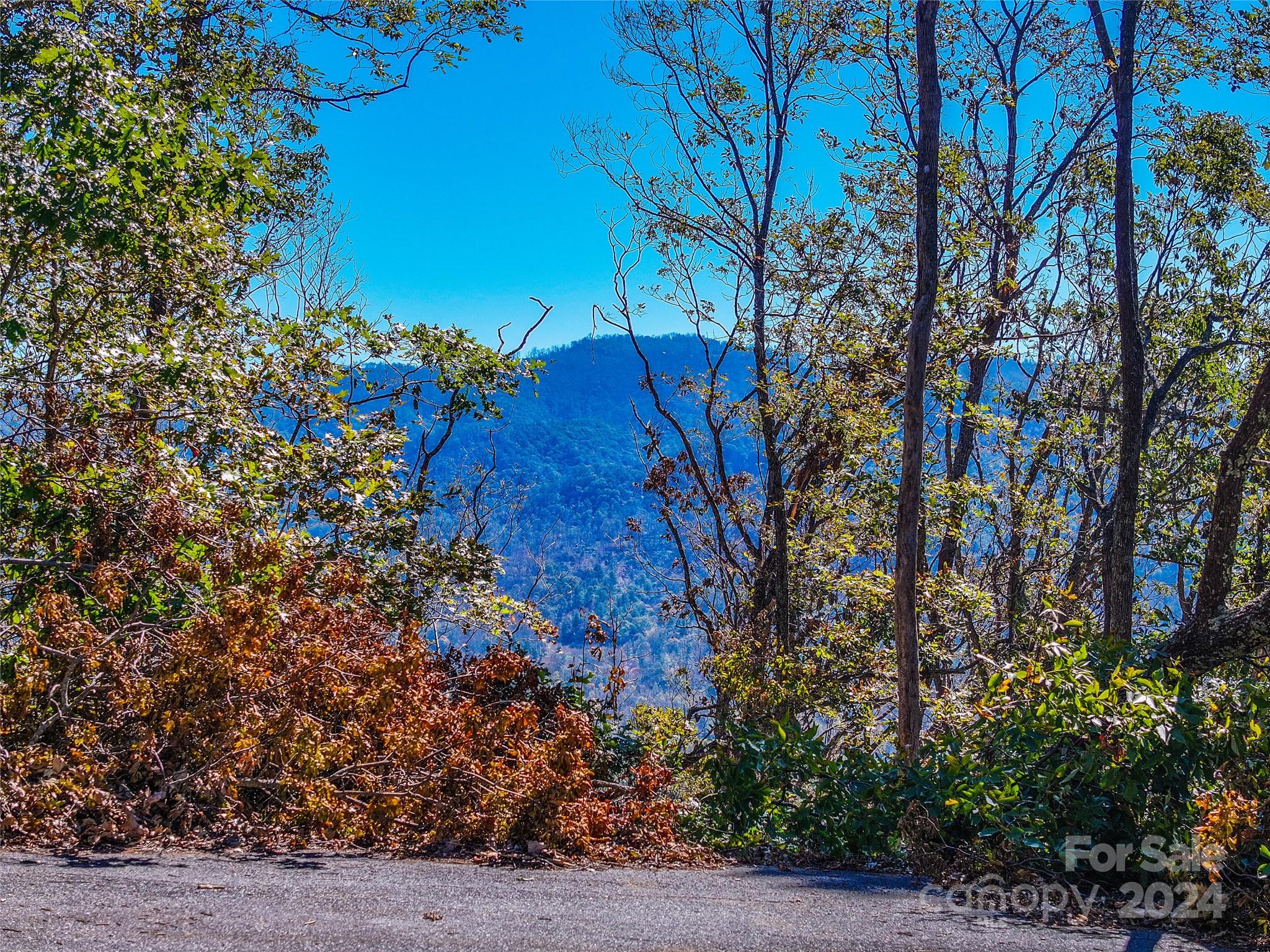 Lots 2, 135 and Pt 136 High Bluff Drive