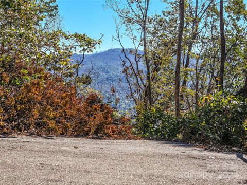Lots 2, 135 and Pt 136 High Bluff Drive Weaverville NC 28787