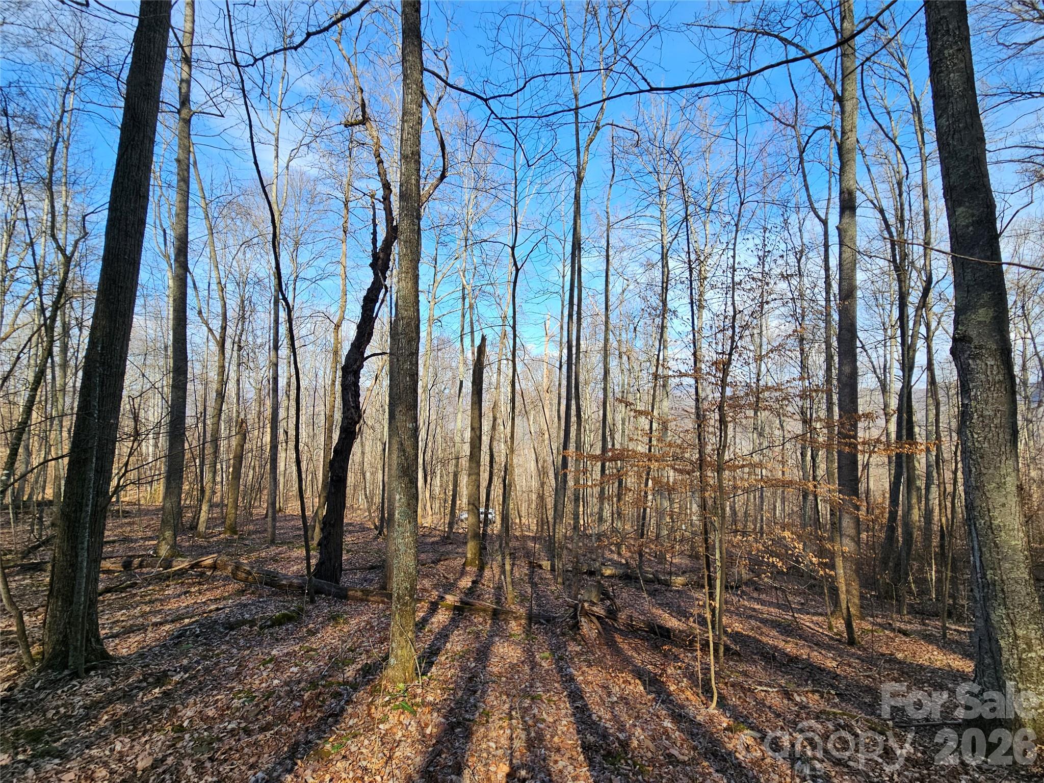 Red Wolf Run - Land