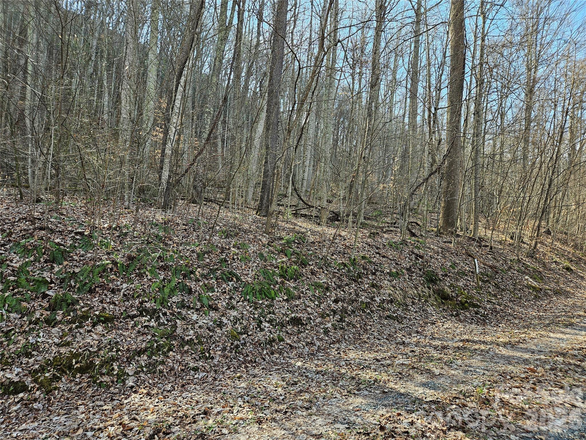 Red Wolf Run - Land