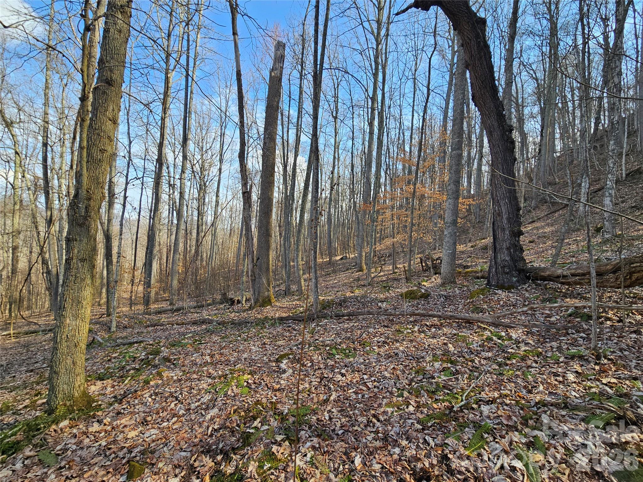 00 Red Wolf Run Road E-7