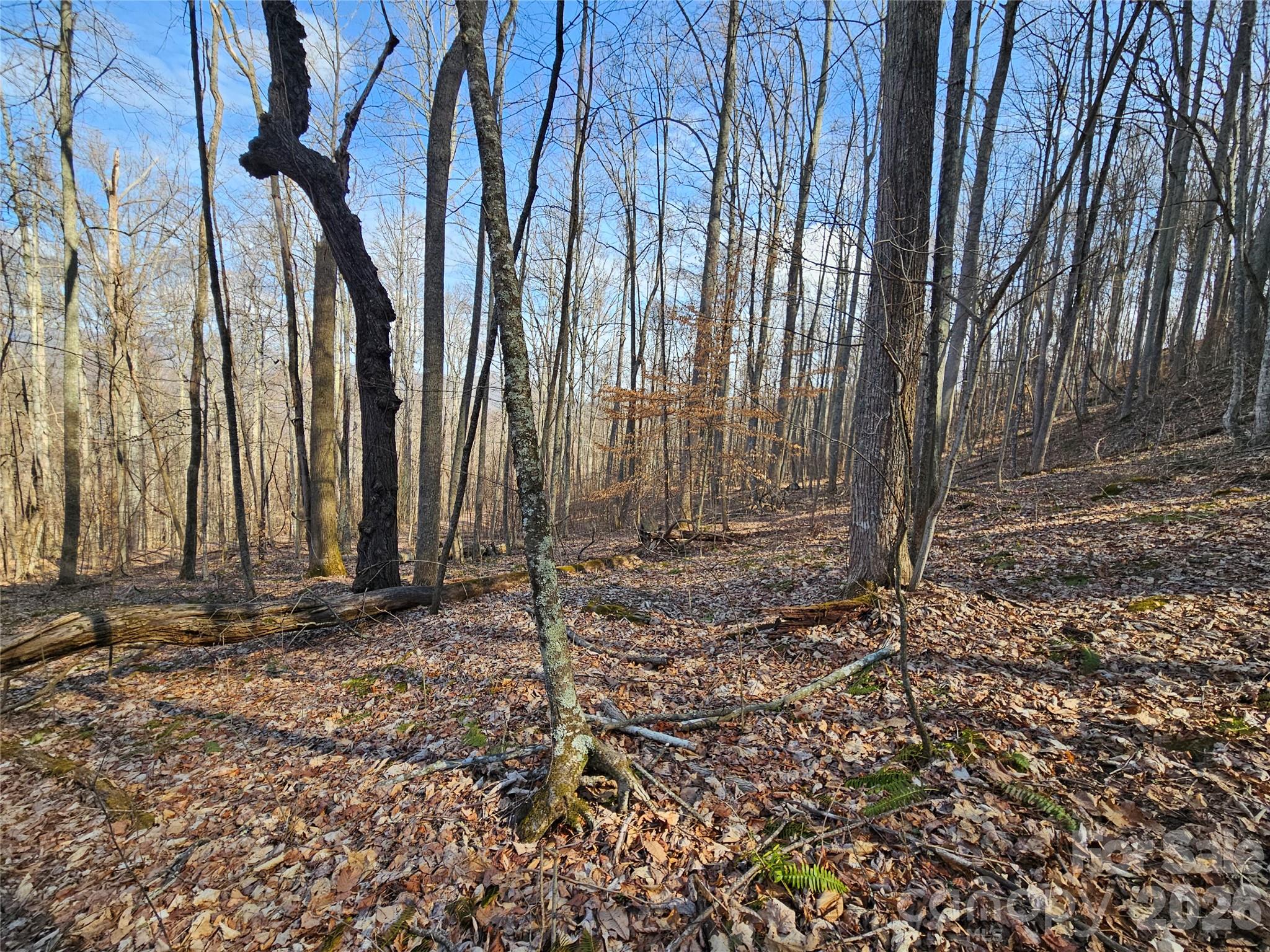 00 Red Wolf Run Road E-7