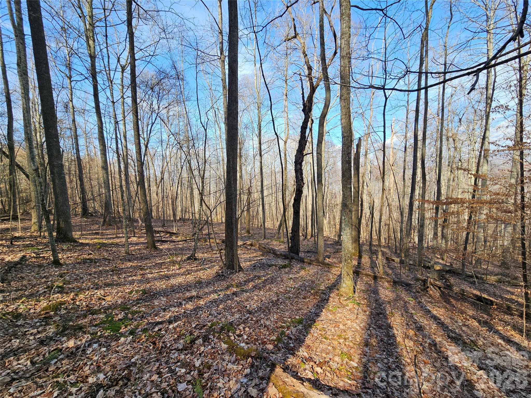 Red Wolf Run - Land