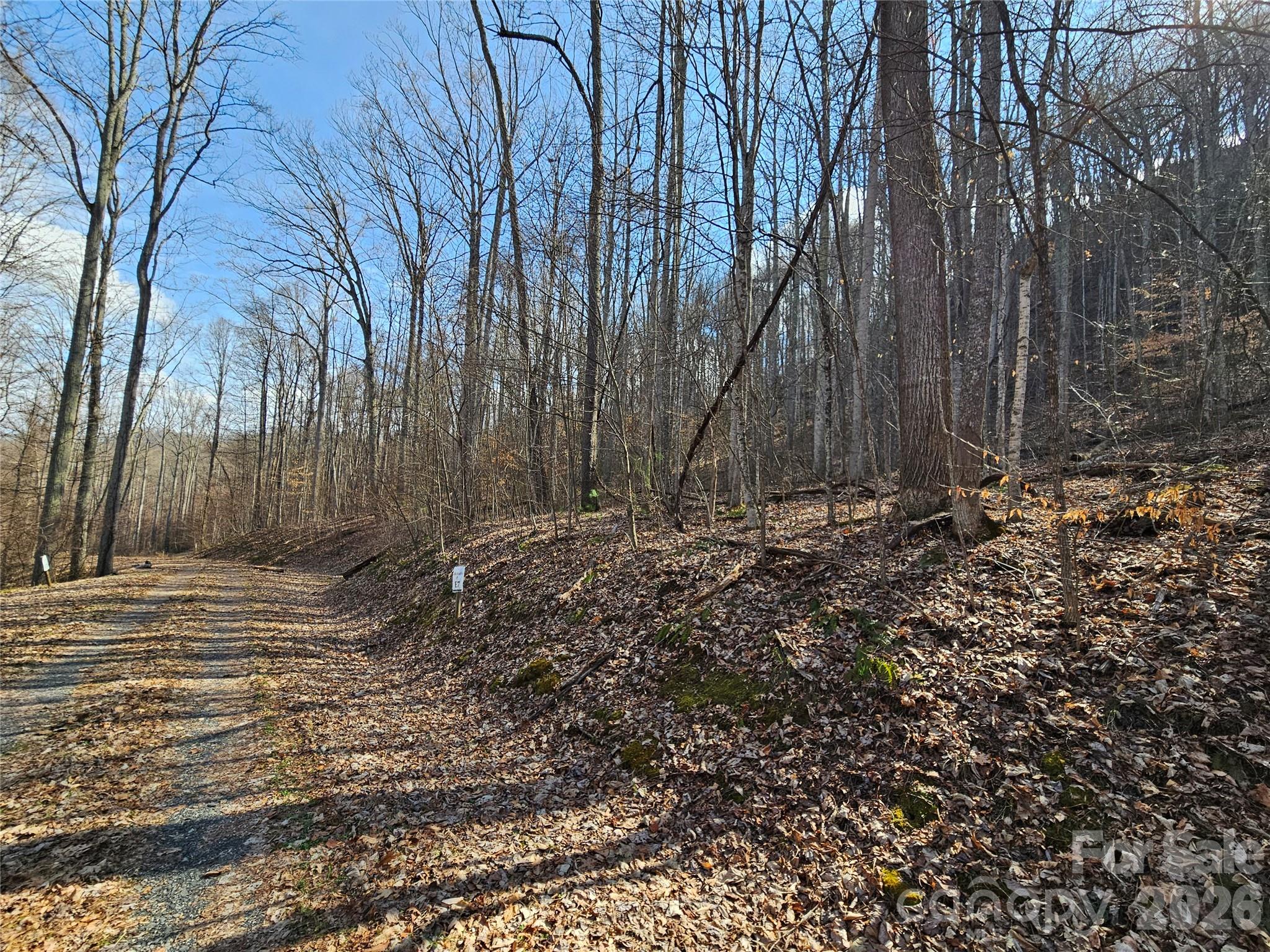 Red Wolf Run - Land