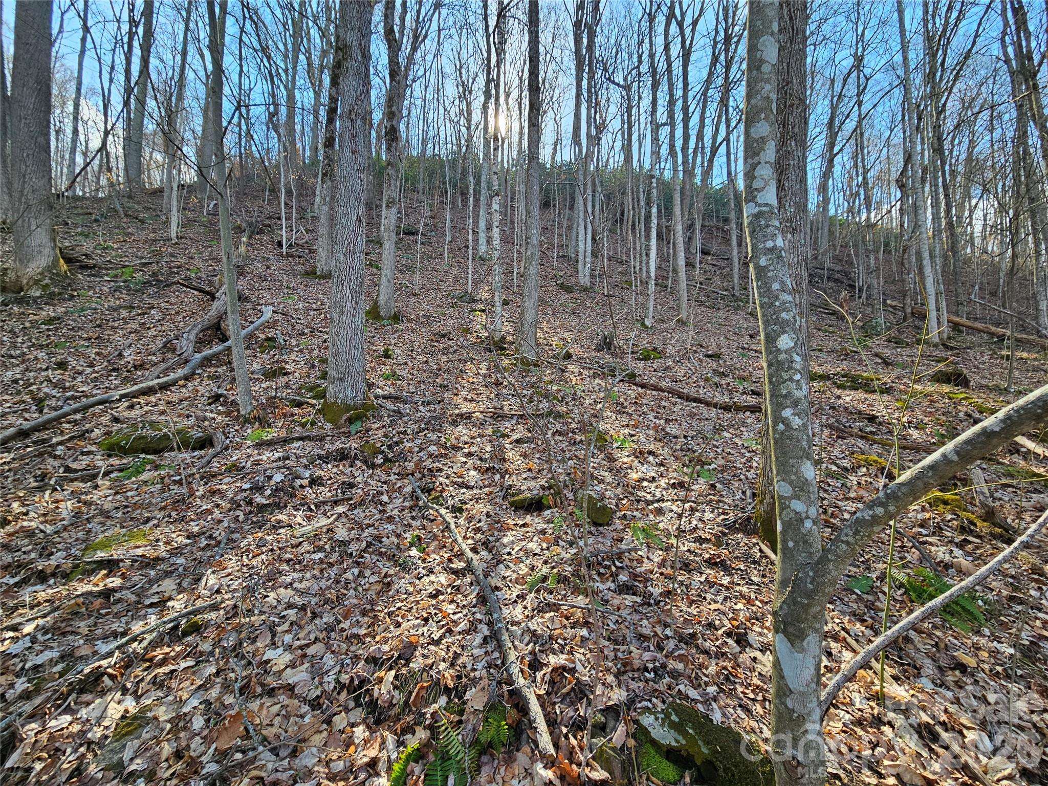 Red Wolf Run - Land