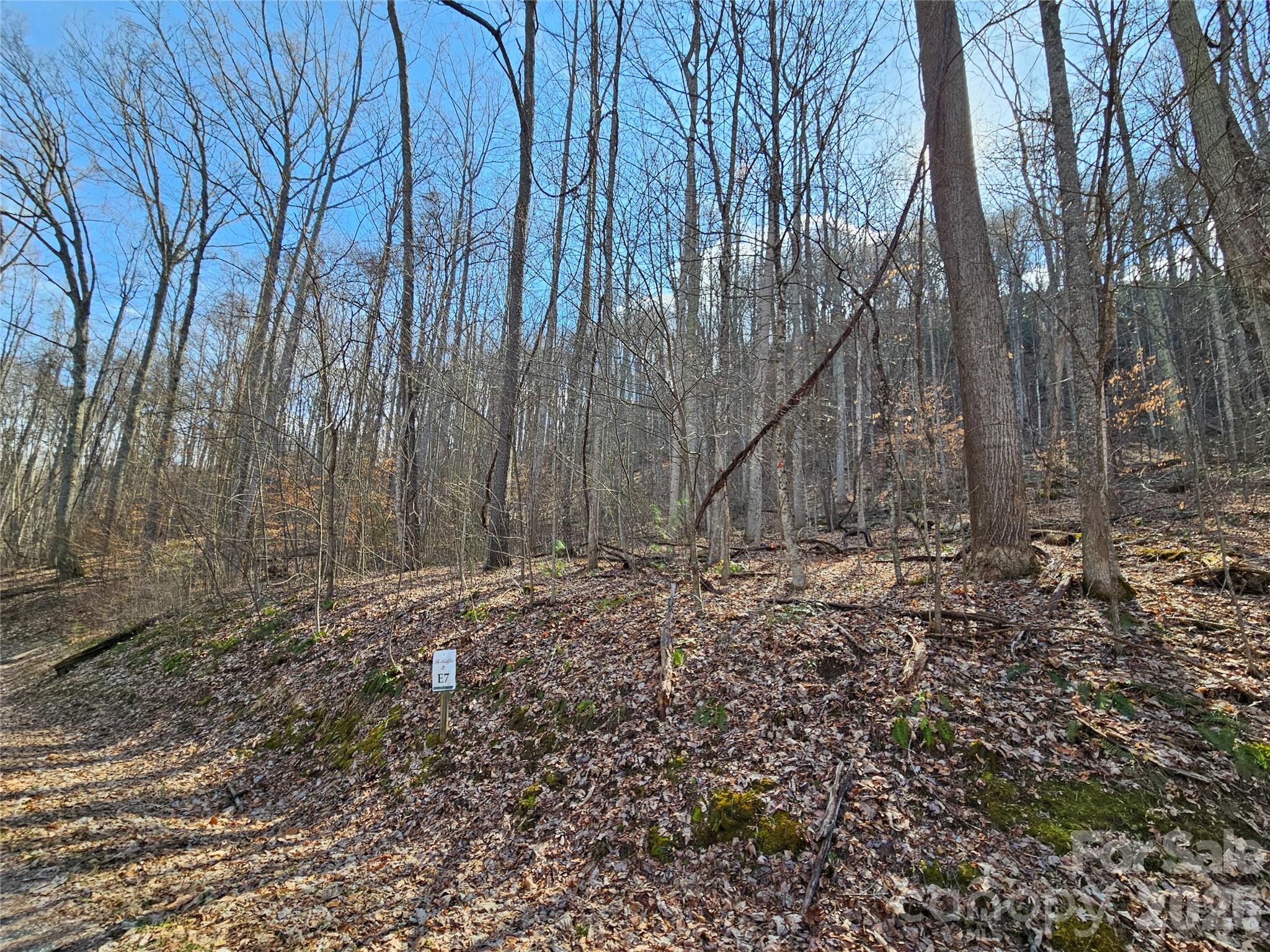 00 Red Wolf Run Road E-7