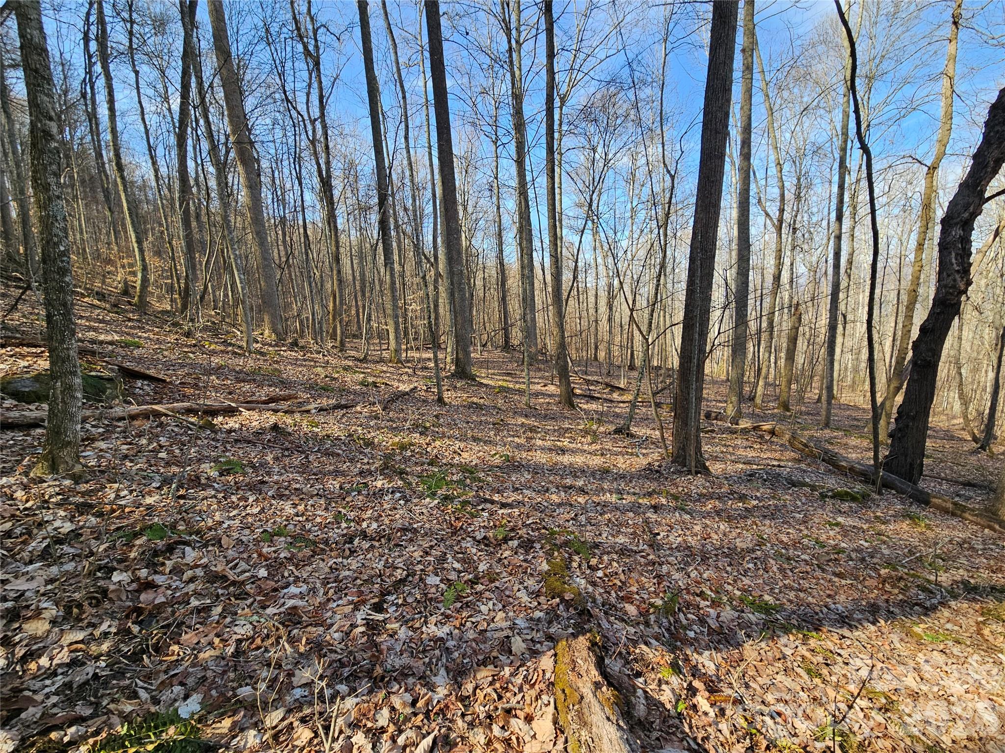 00 Red Wolf Run Road E-7