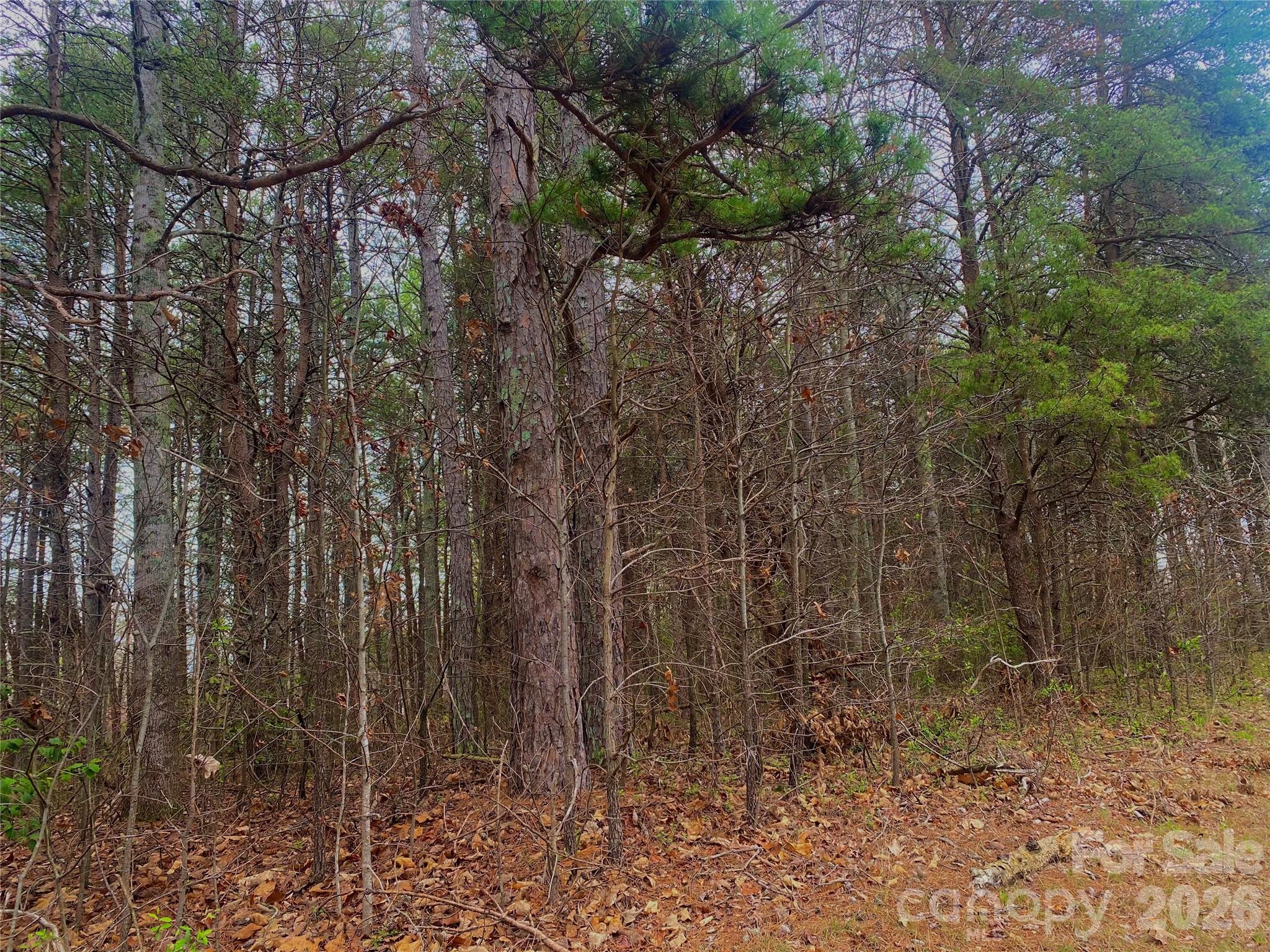 302 Lewis Ferry Road