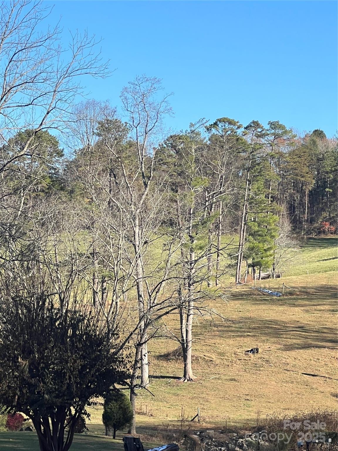 11 Beech Crest Rise None