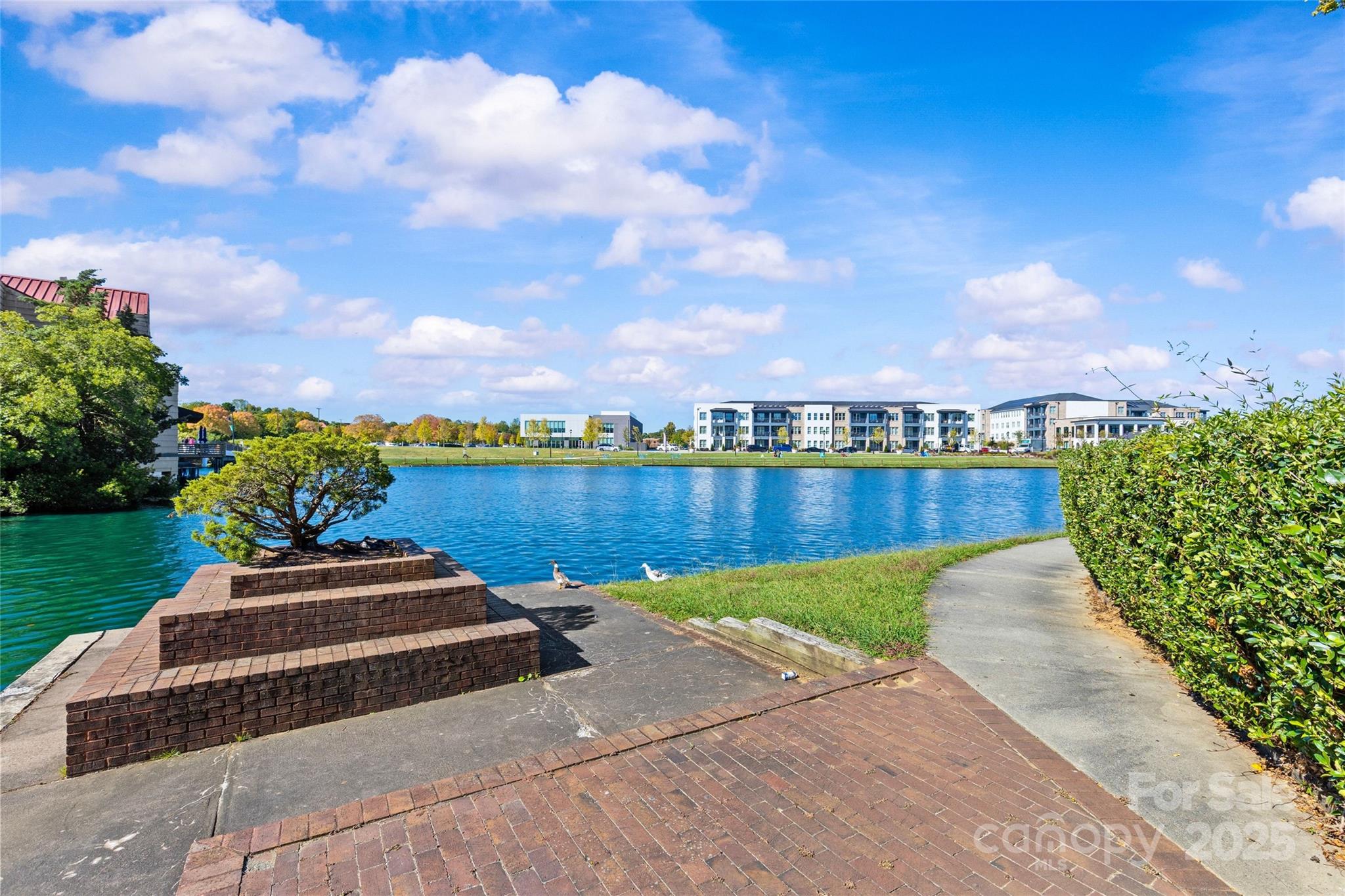 Lakeshore Village - Residential