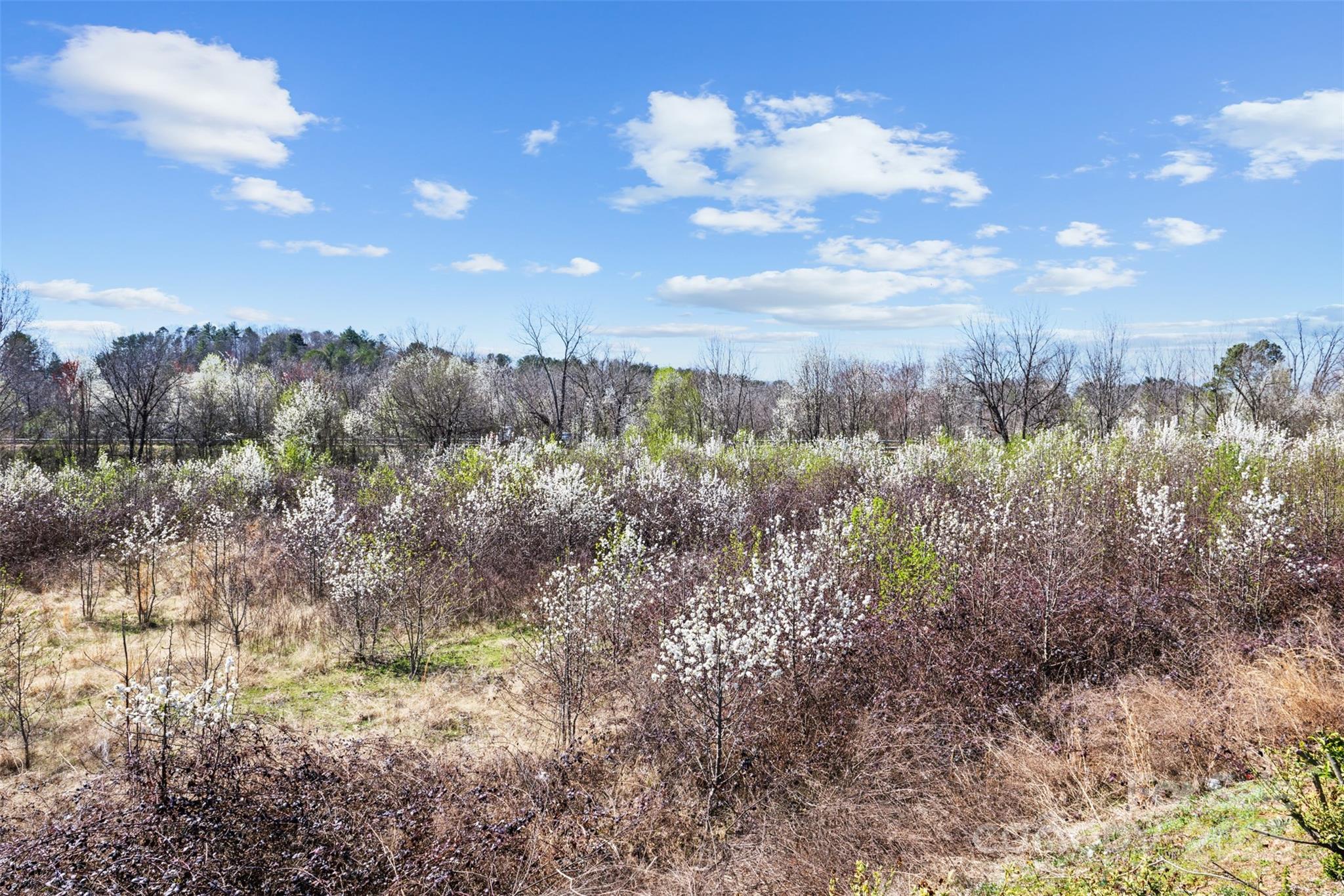 0000 Harper Avenue 2