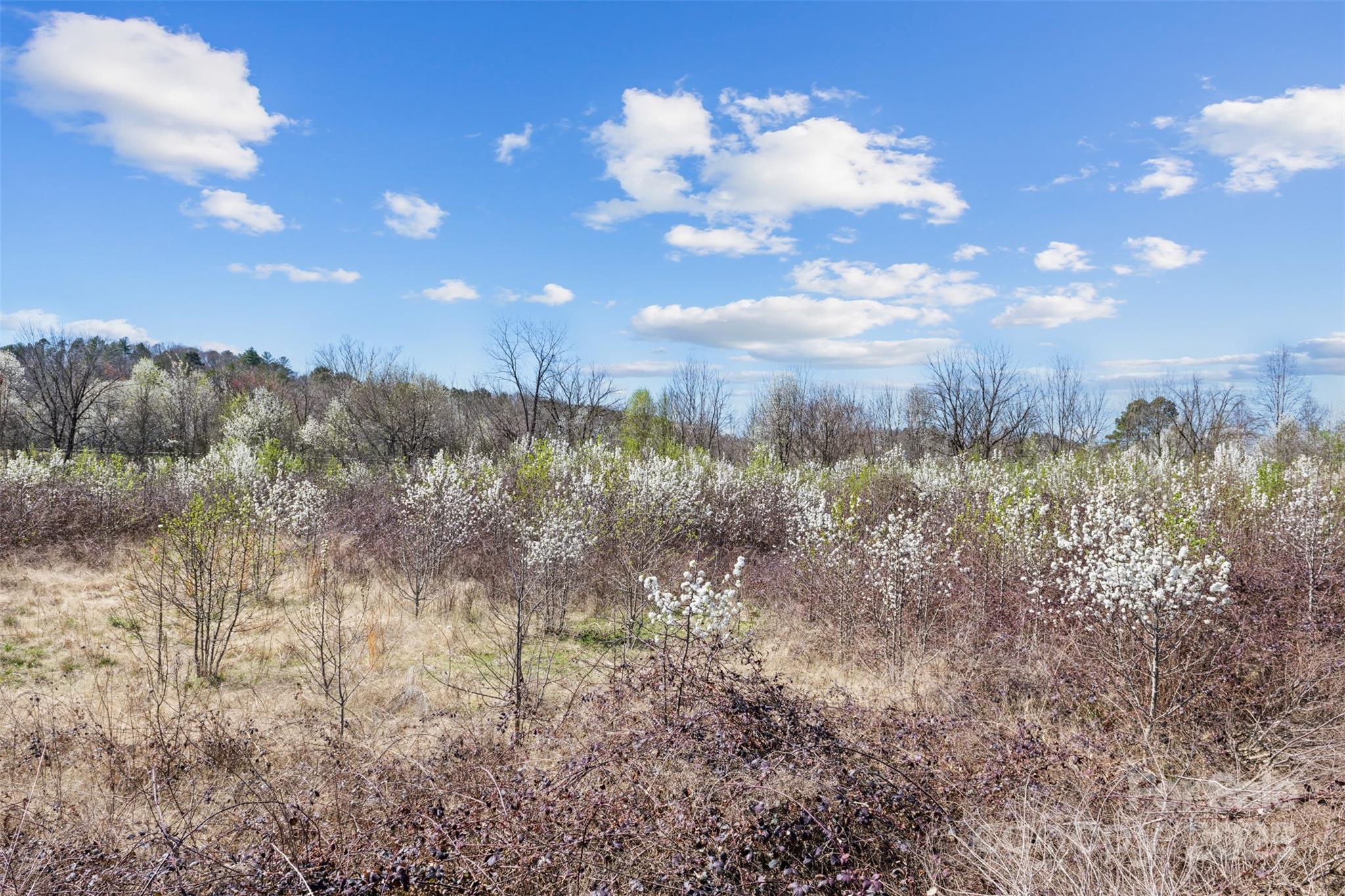 0000 Harper Avenue 2