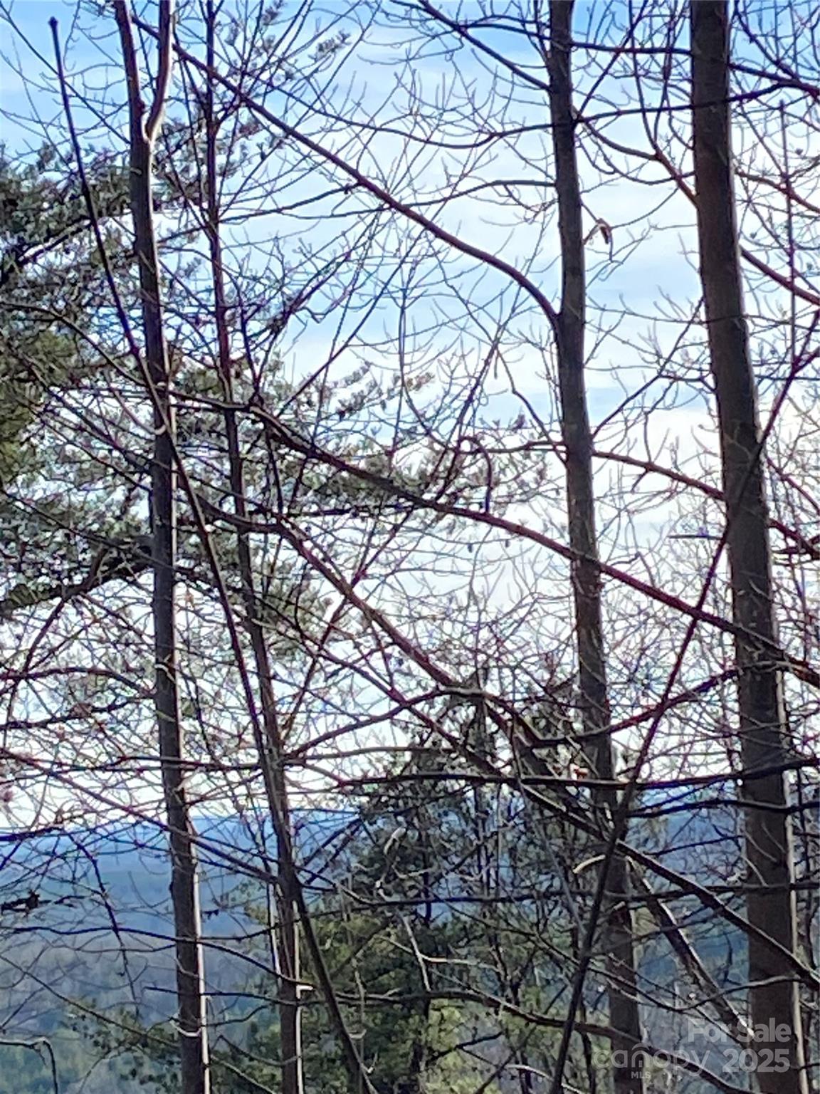 21,22 Meditation Ridge Ridge