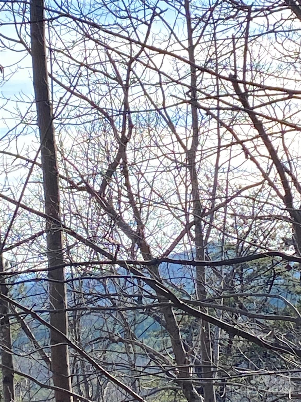 21,22 Meditation Ridge Ridge