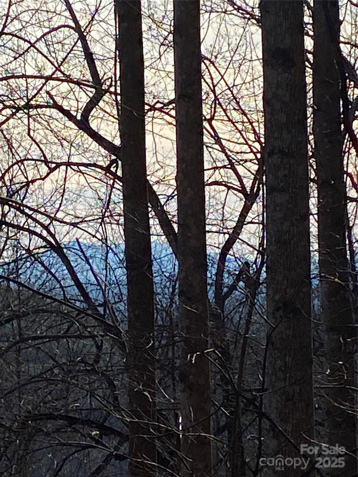 21,22 Meditation Ridge Ridge