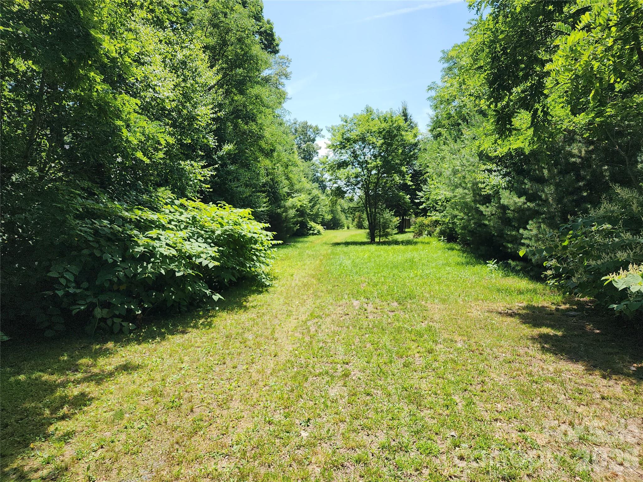 00 Chestnut Drive