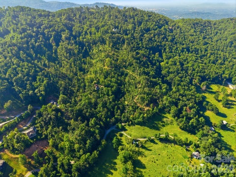 Photo of 9999 Upper Herron Cove Road, Weaverville, NC 28787 (MLS # 4417278)