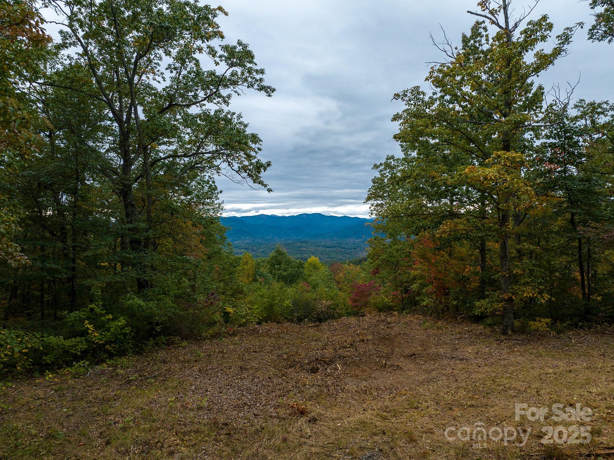 New Forest Mountain - Land