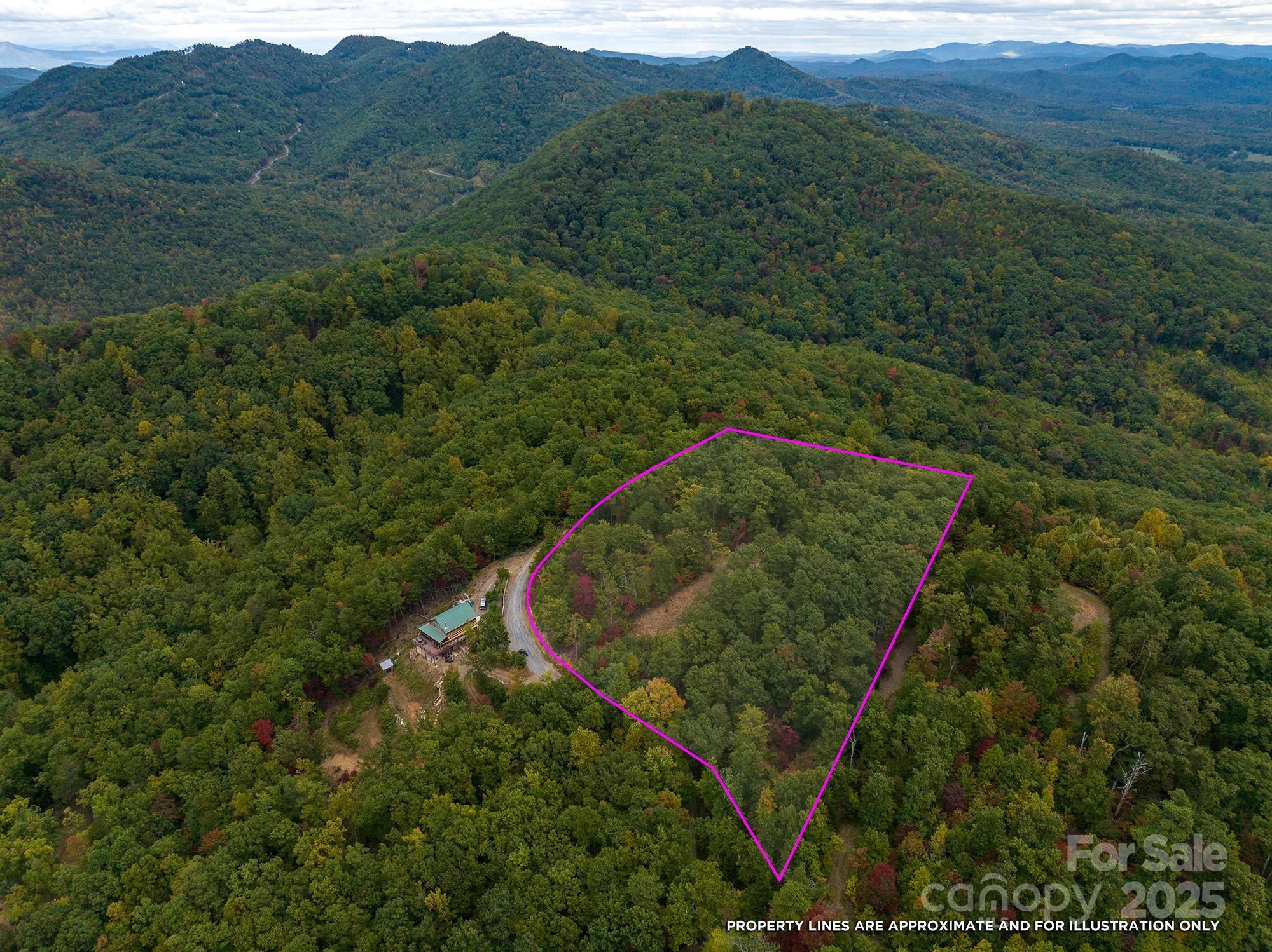 New Forest Mountain - Land