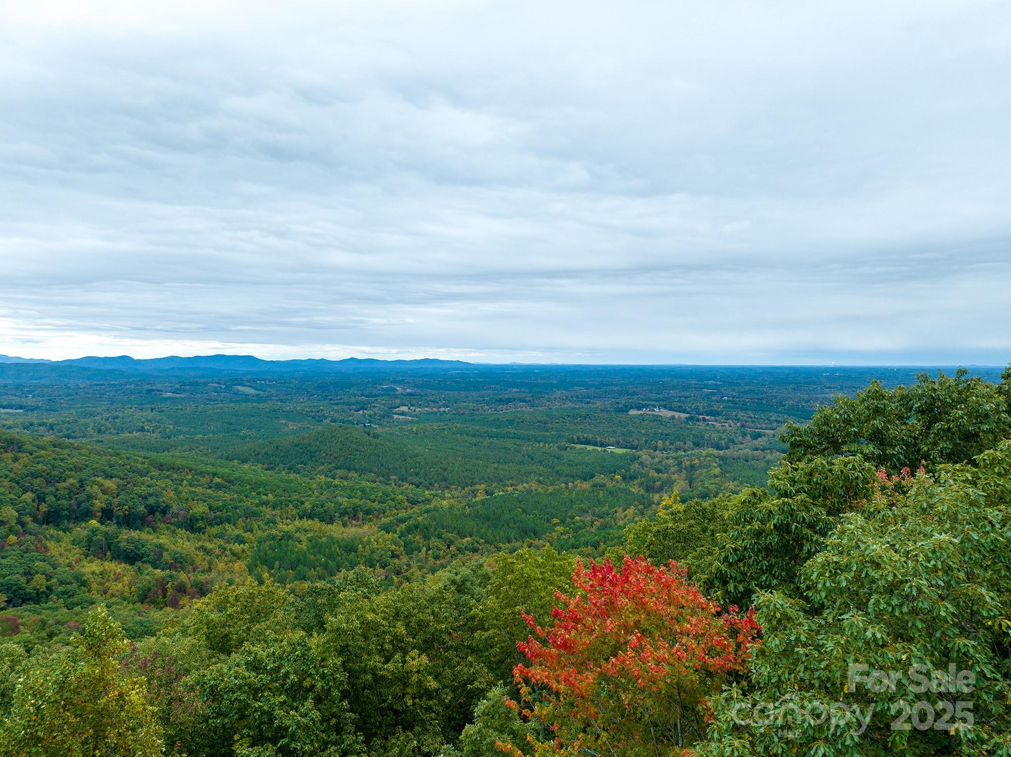New Forest Mountain - Land