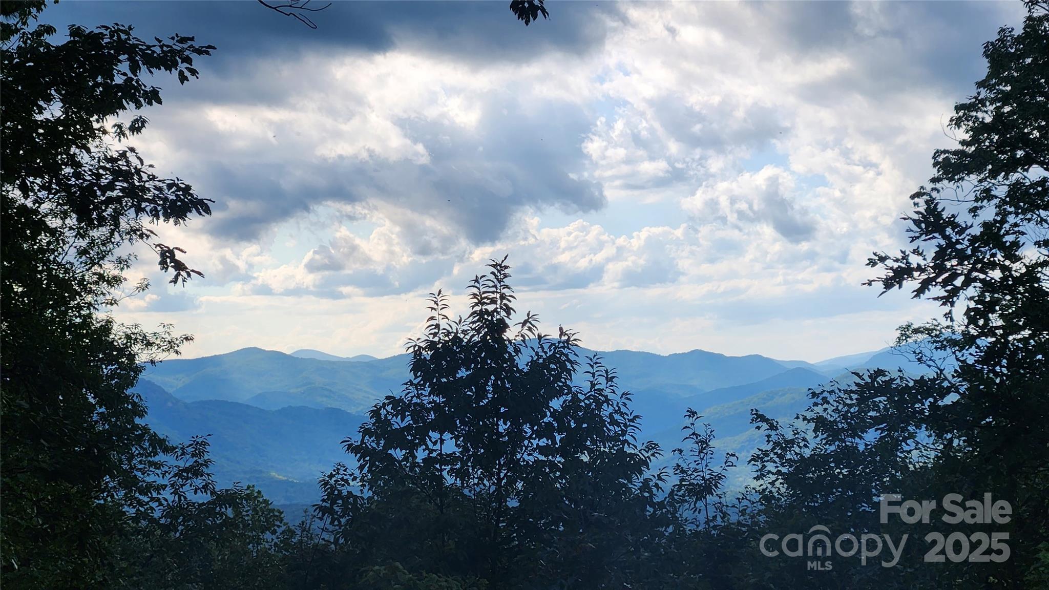 New Forest Mountain - Land