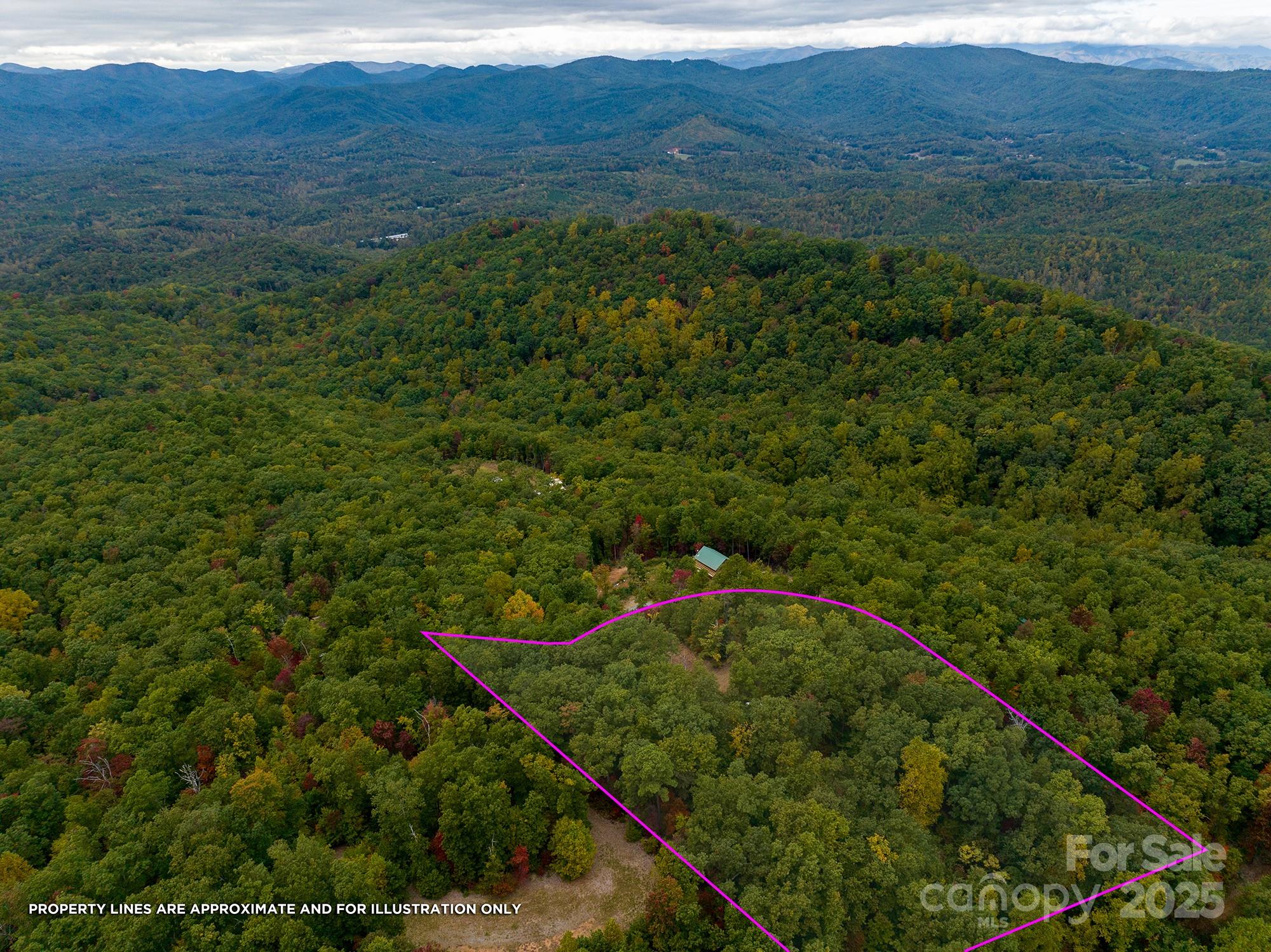 New Forest Mountain - Land