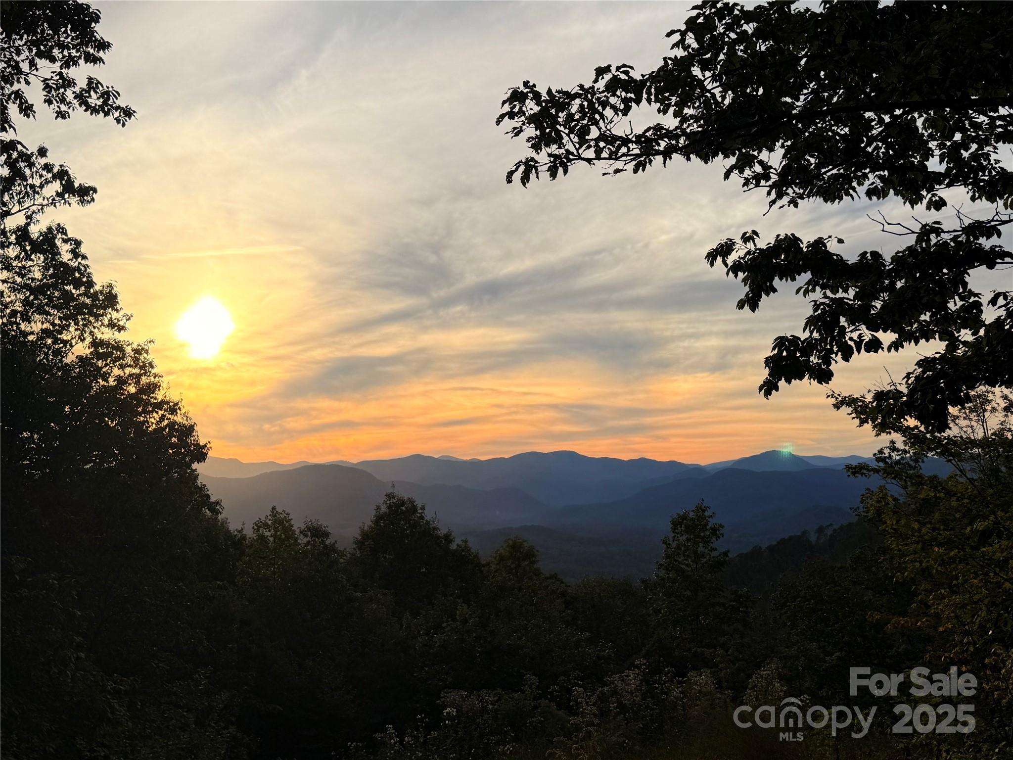 New Forest Mountain - Land