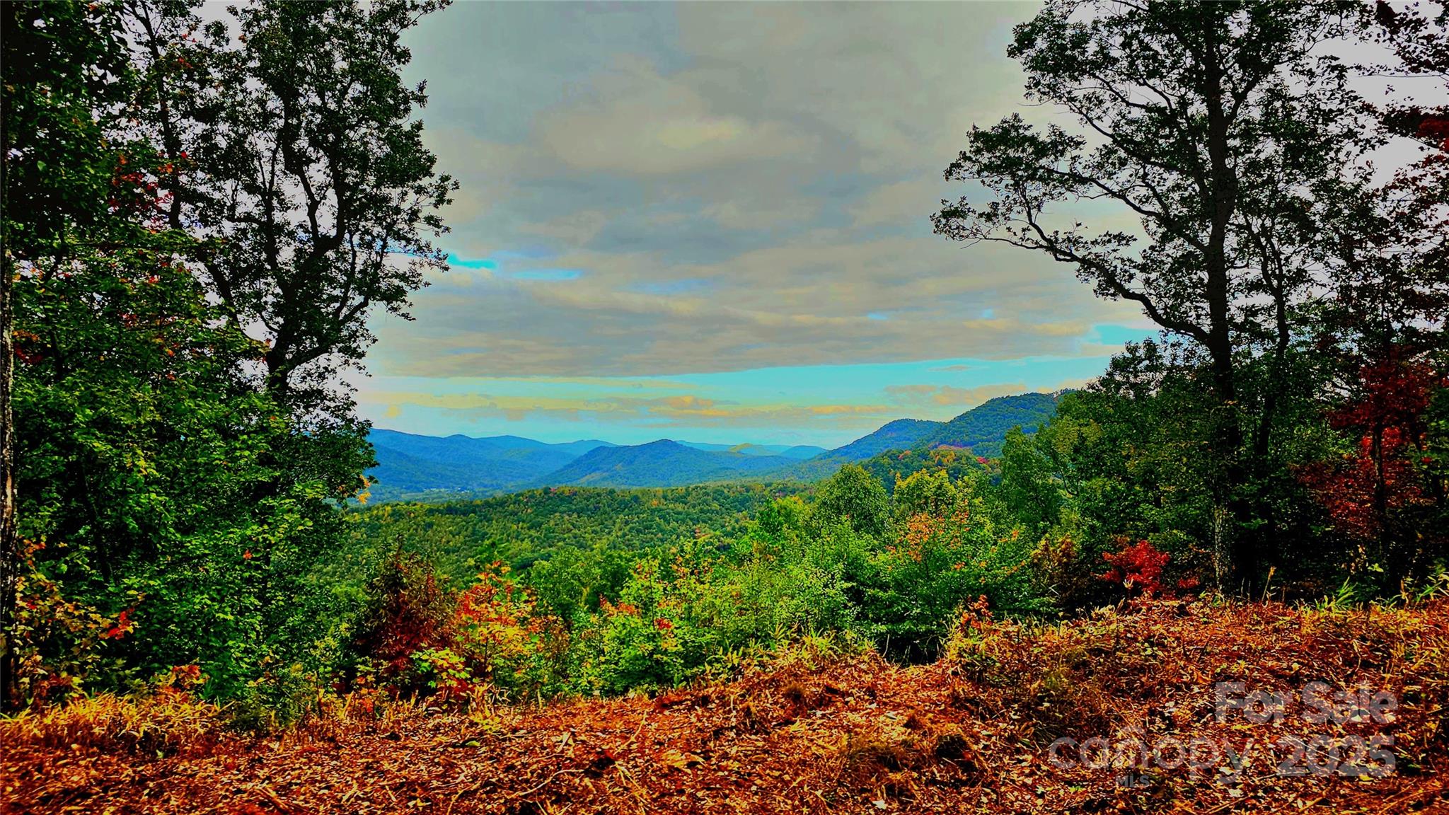 New Forest Mountain - Land