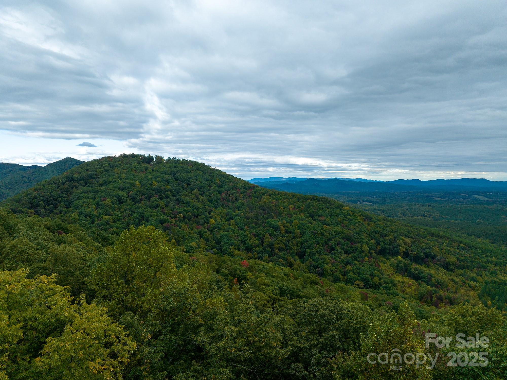 New Forest Mountain - Land