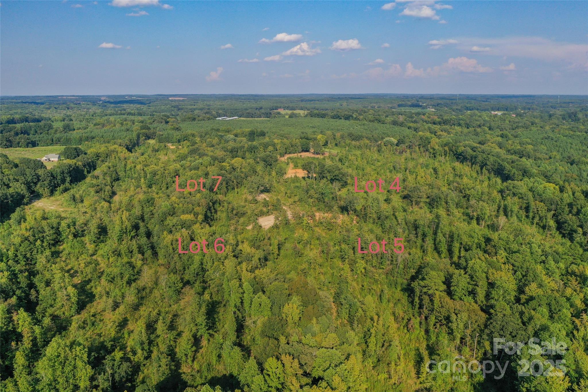 1013 S Oakshire Lane 4