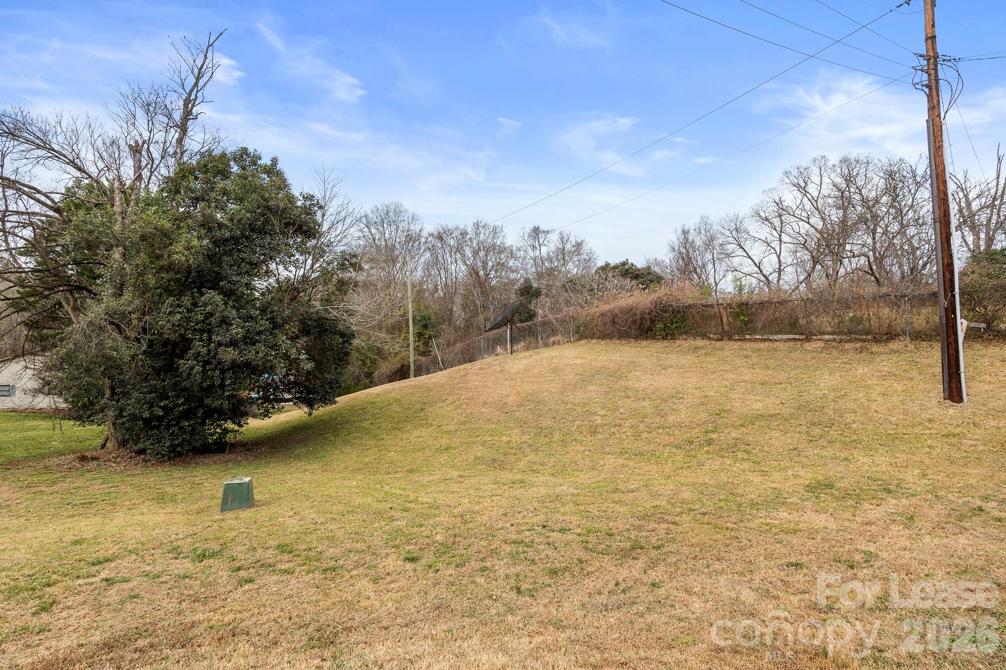 None - Residential Lease