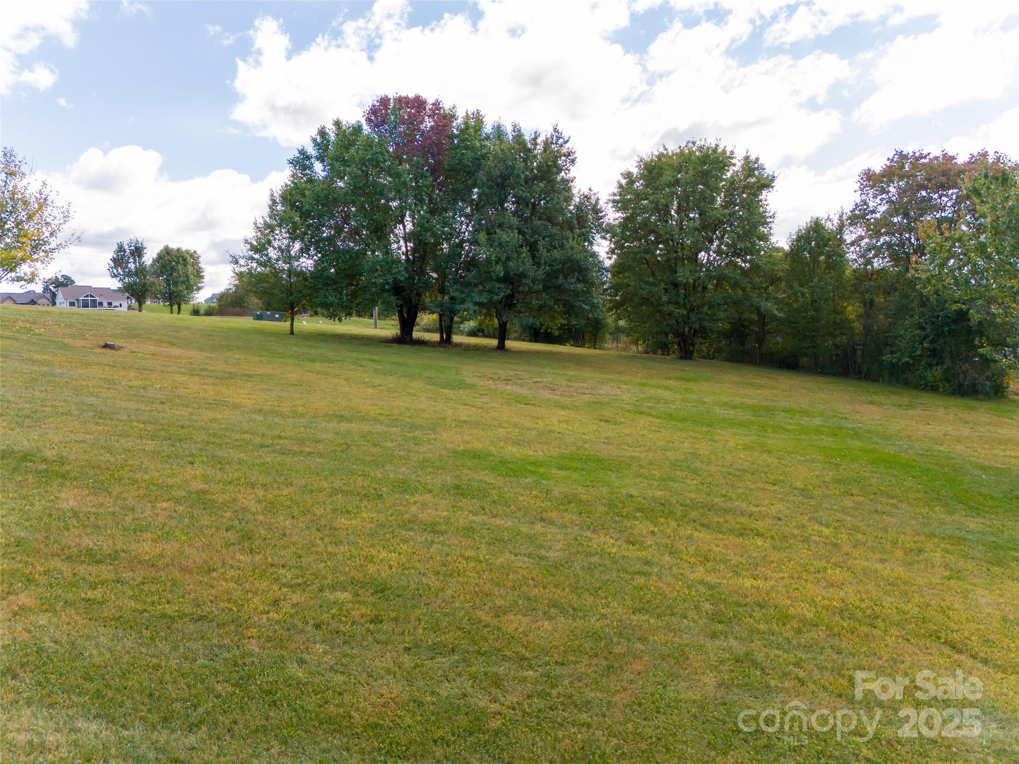 The Farm at Mills River - Land