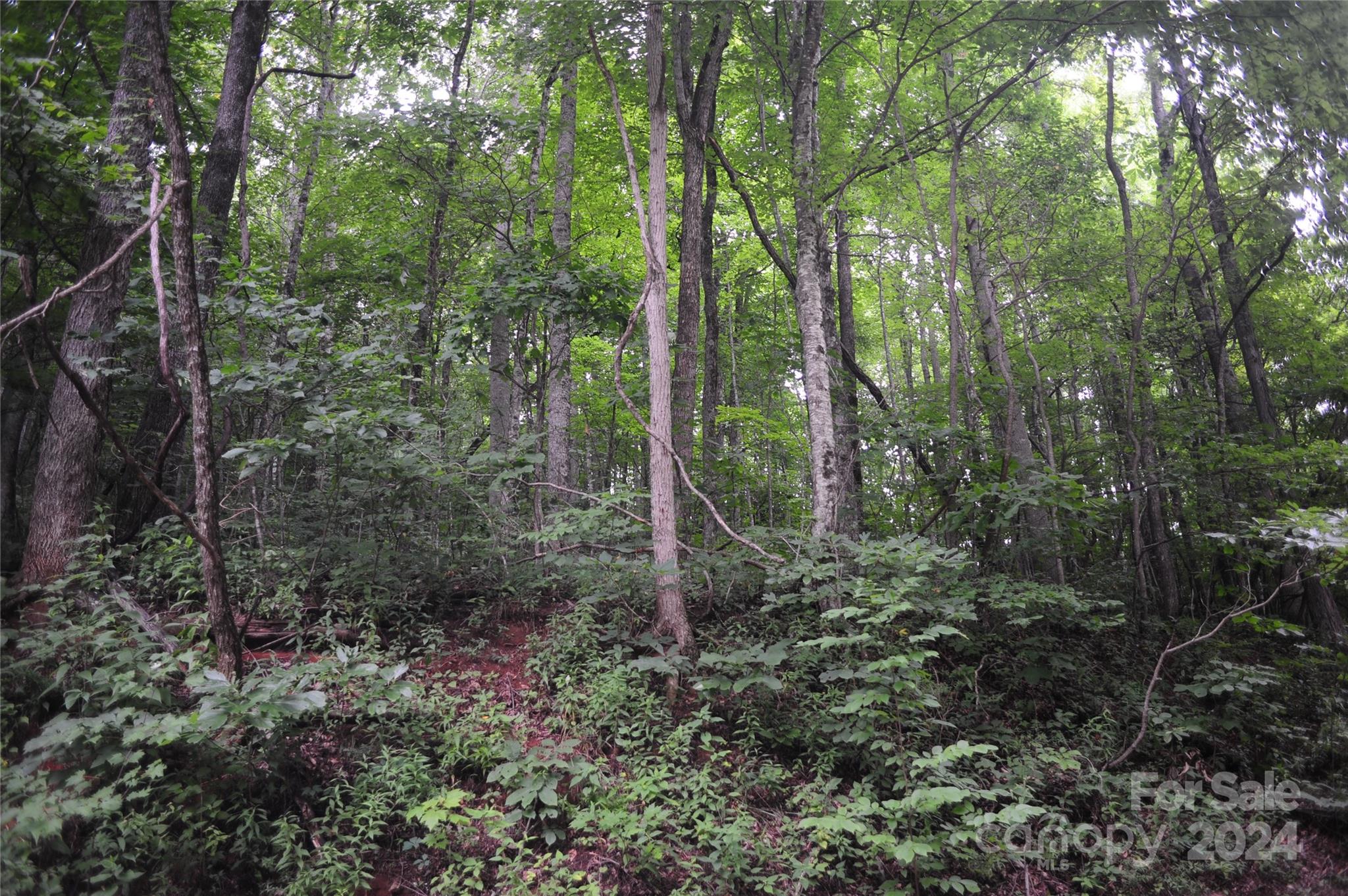 54 Great Aspen Way 701