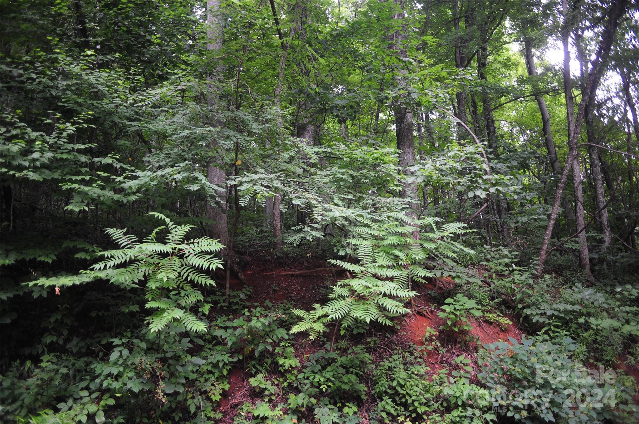 54 Great Aspen Way 701