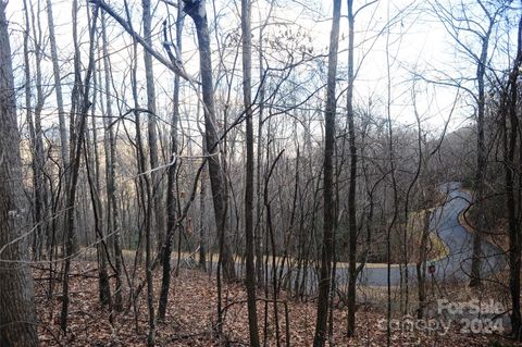 54 Great Aspen Way 701 Black Mountain NC 28711