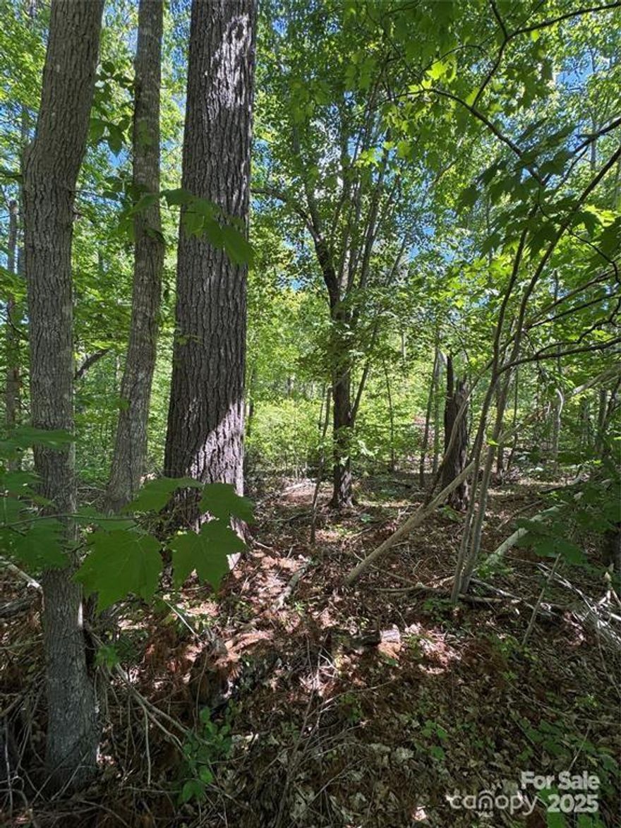 This beautifully situated, wooded lot presents an ideal opportunity to construct your dream home! Nestled in a serene environment, it offers the perfect blend of tranquility and convenience. The lot provides access to city water, ensuring that all your essential needs are met with ease. Additionally, its prime location means that you are just minutes away from I-40, making commuting and access to nearby amenities a breeze. Imagine the possibilities of designing your perfect home in such a picturesque setting, where you can enjoy the peace of nature while still being close to the hustle and bustle of city life. Don't miss out on this unique opportunity to create a haven tailored to your desires!