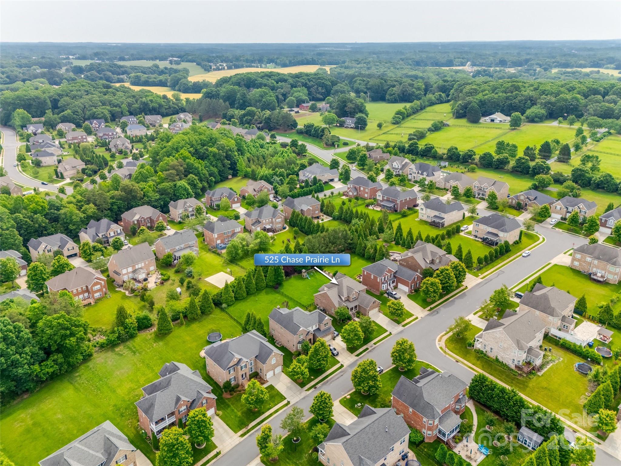 Hollister - Residential