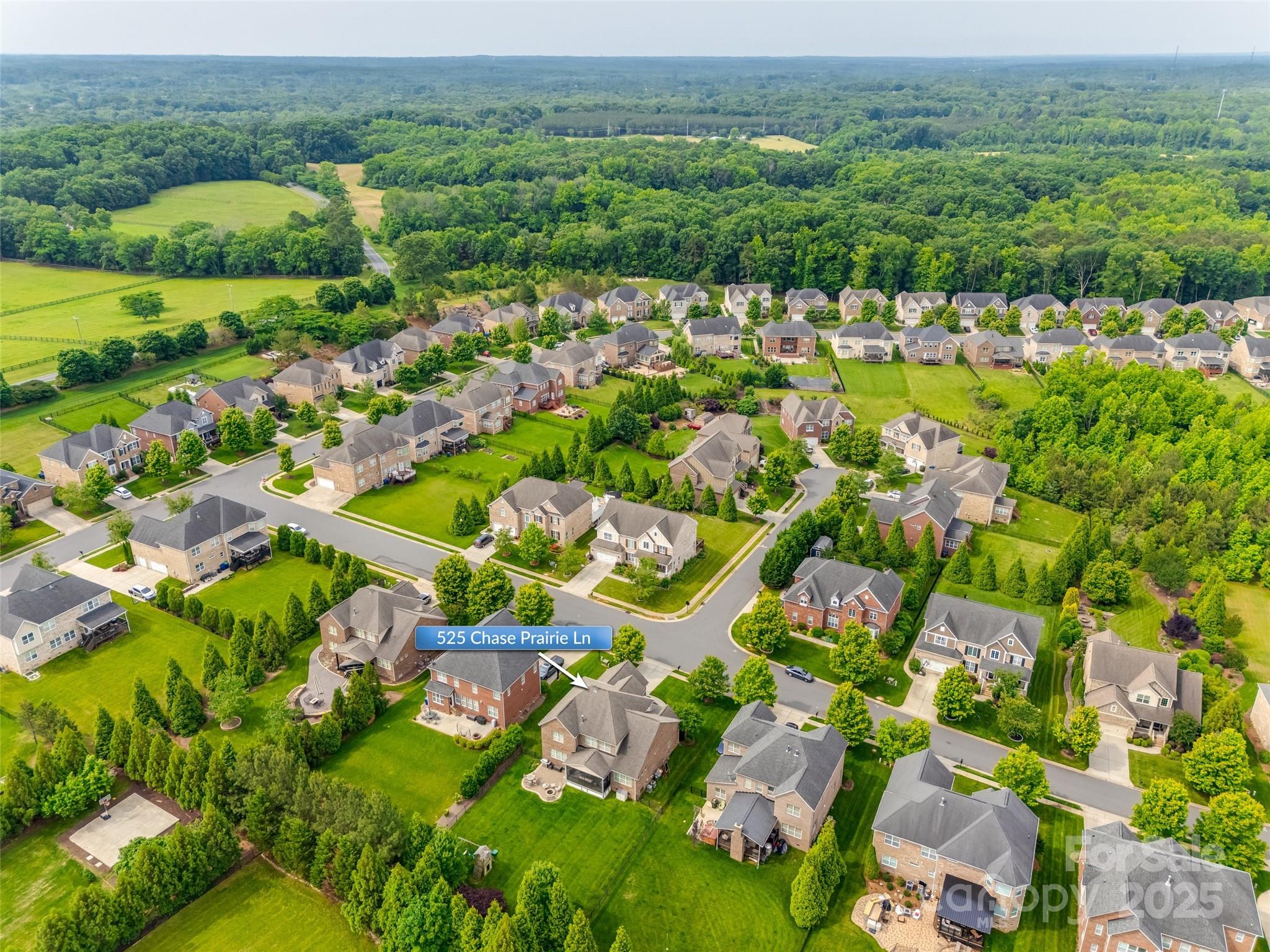 Hollister - Residential