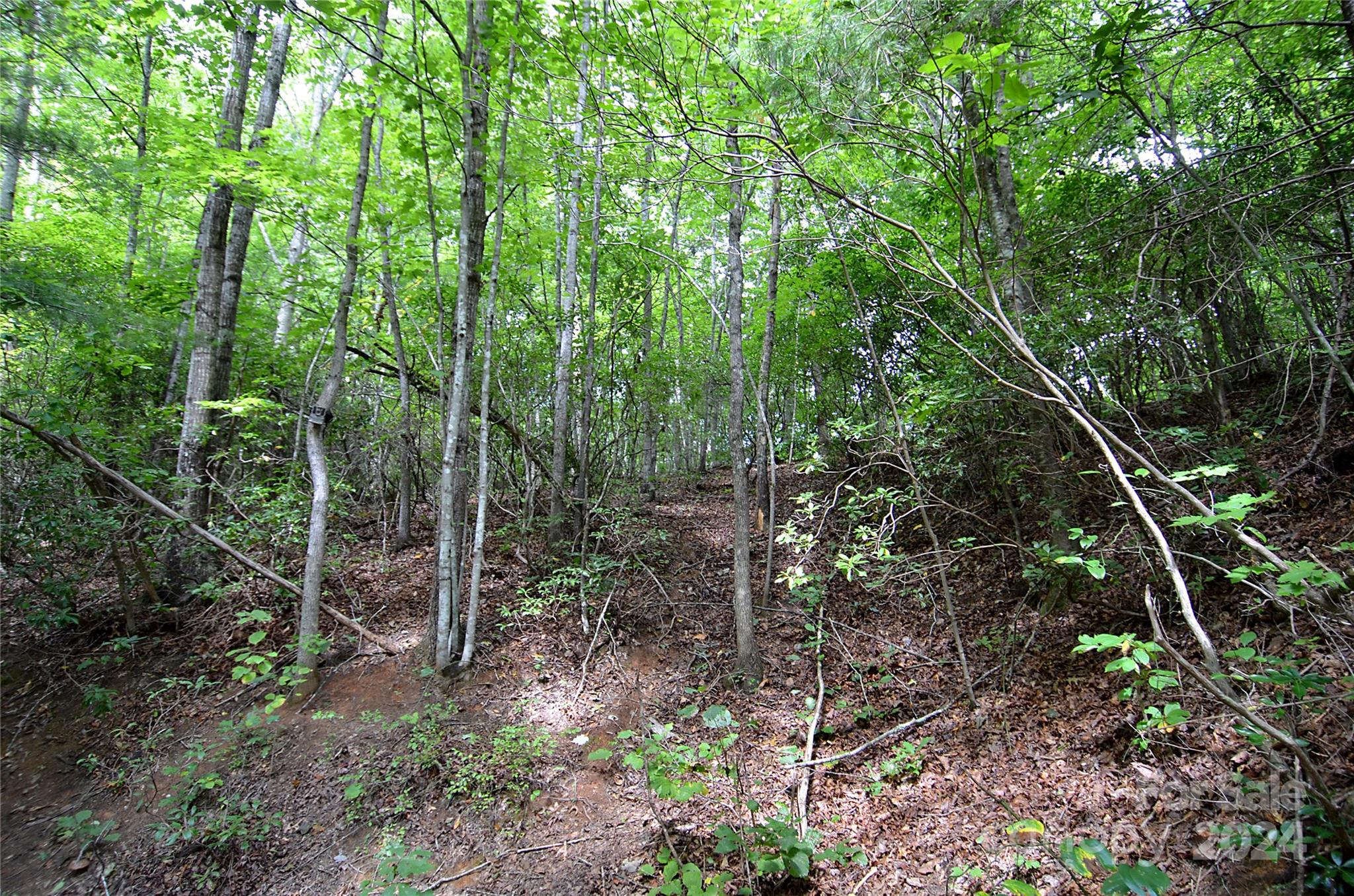 0 Jarrell Loop